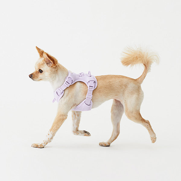 馬卡龍胸背帶/牽繩 Humming myfit harness/leash V2