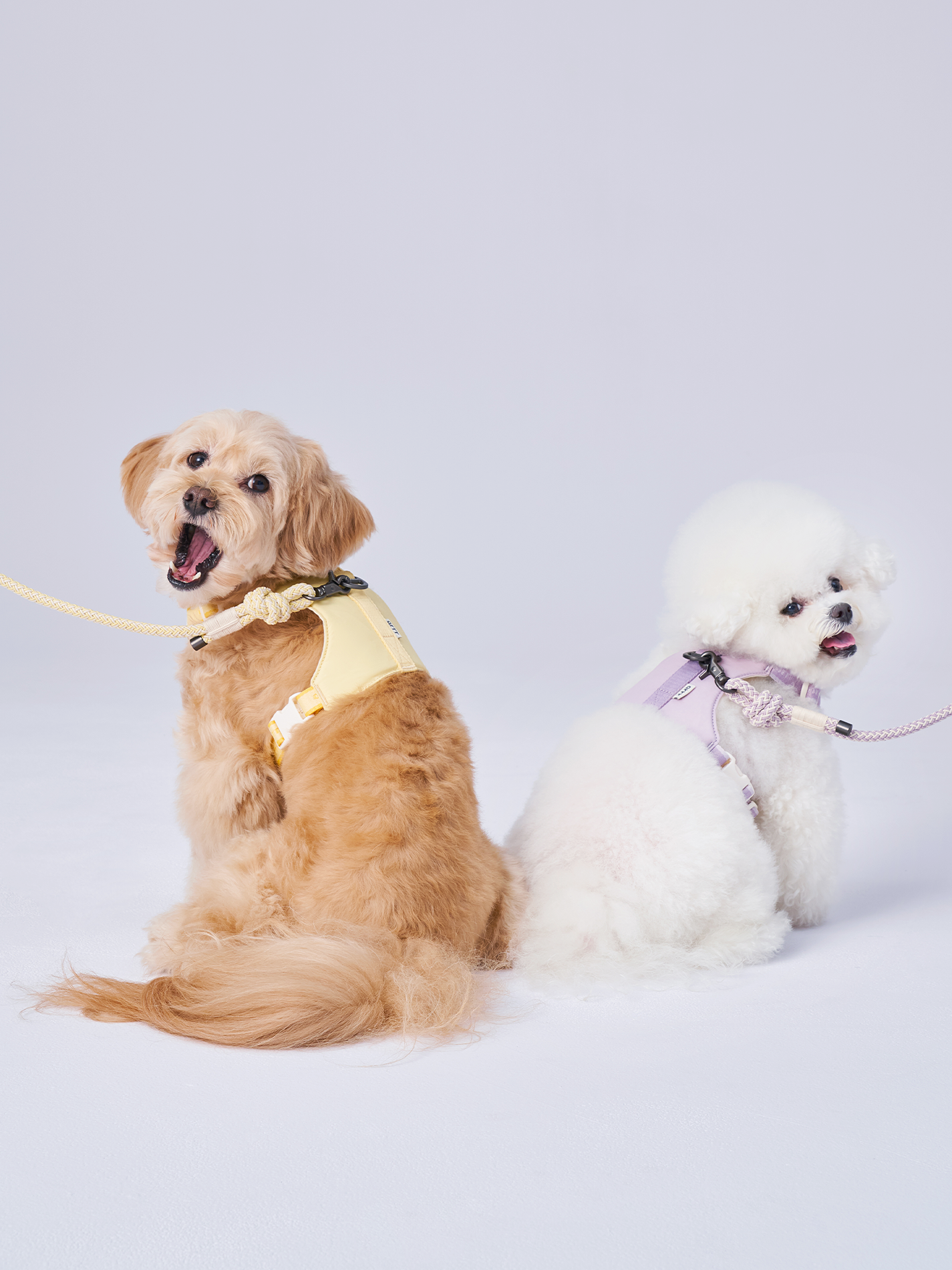 蹦跳胸背帶/牽繩 Bouncing Harness/Rope Leash