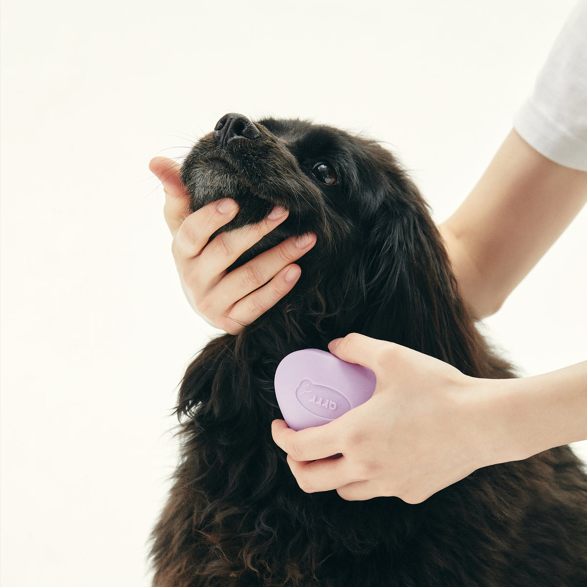 Grooming Brush | 乖乖按摩梳