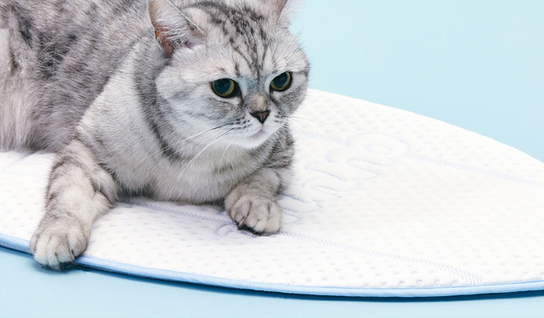 寵物勁涼衝浪墊 Coolsum surfing mat