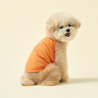 愛心寵物吊帶背心/遮陽帽 Heart Sleeveless Shirt/Suncap