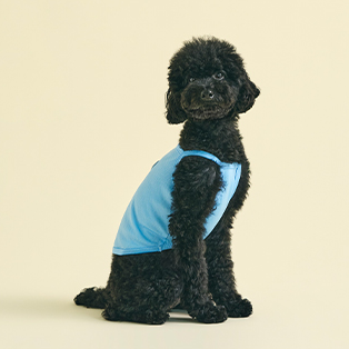 愛心寵物吊帶背心/遮陽帽 Heart Sleeveless Shirt/Suncap