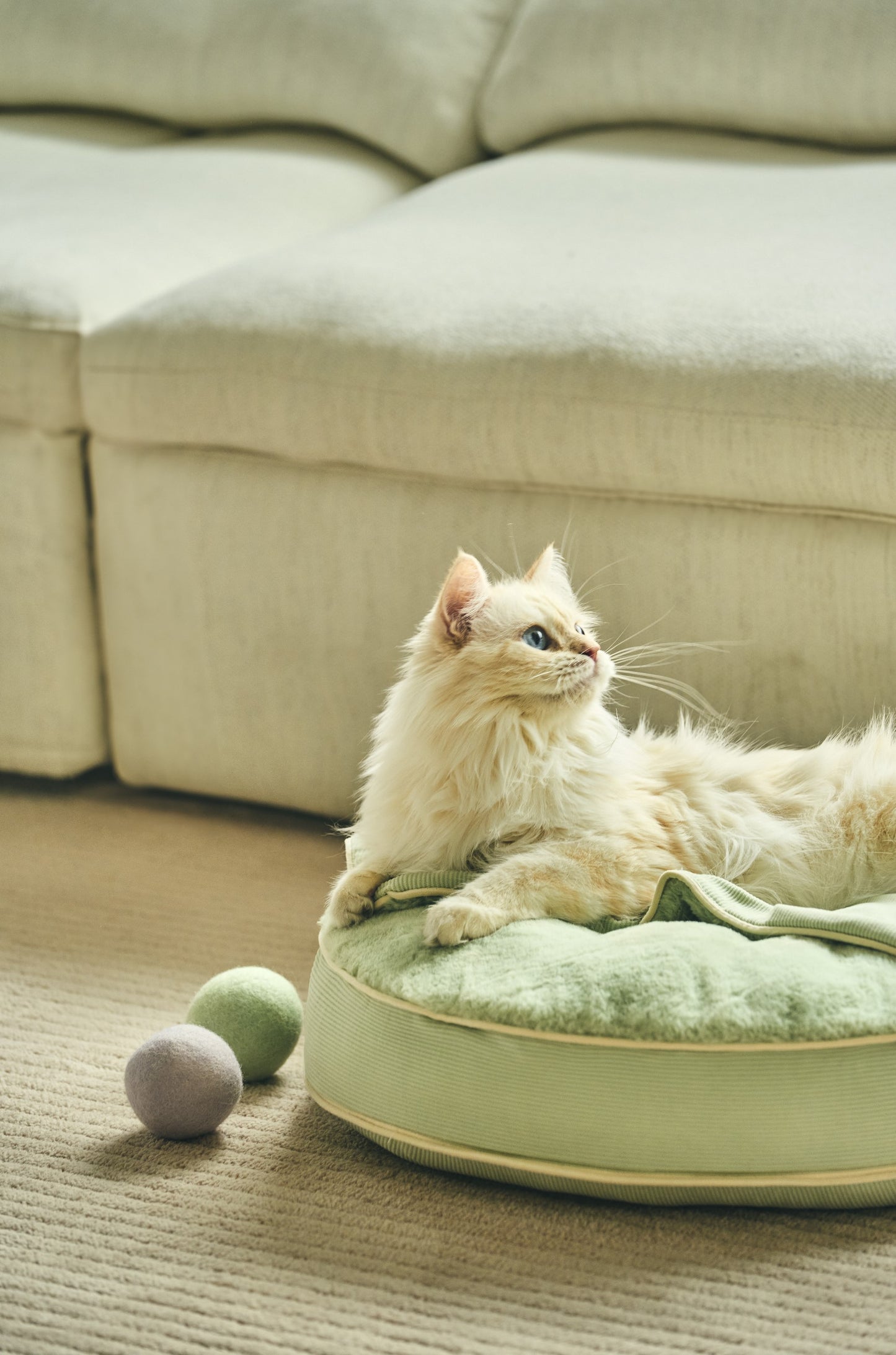 Macaron Cat Toy Ball|馬卡龍寶貝球