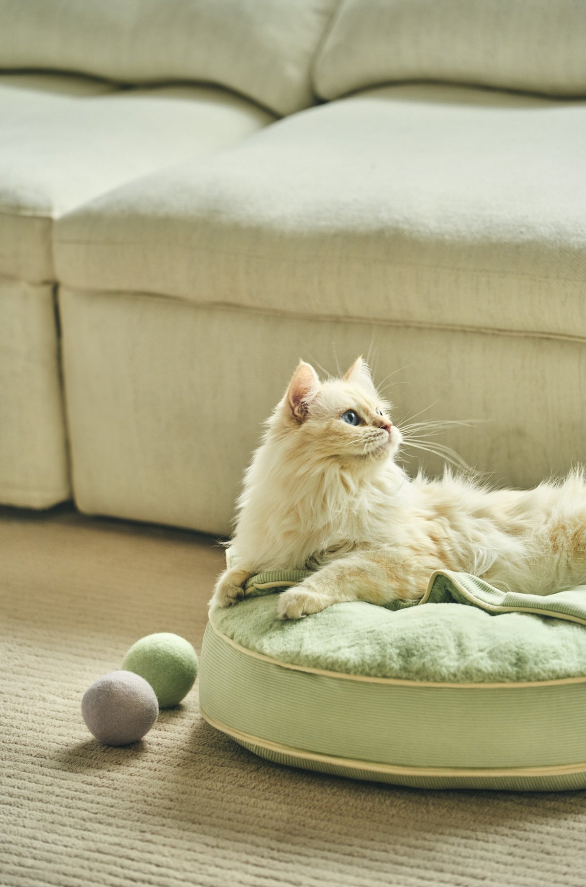 Macaron Cat Toy Ball | 馬卡龍寶貝球
