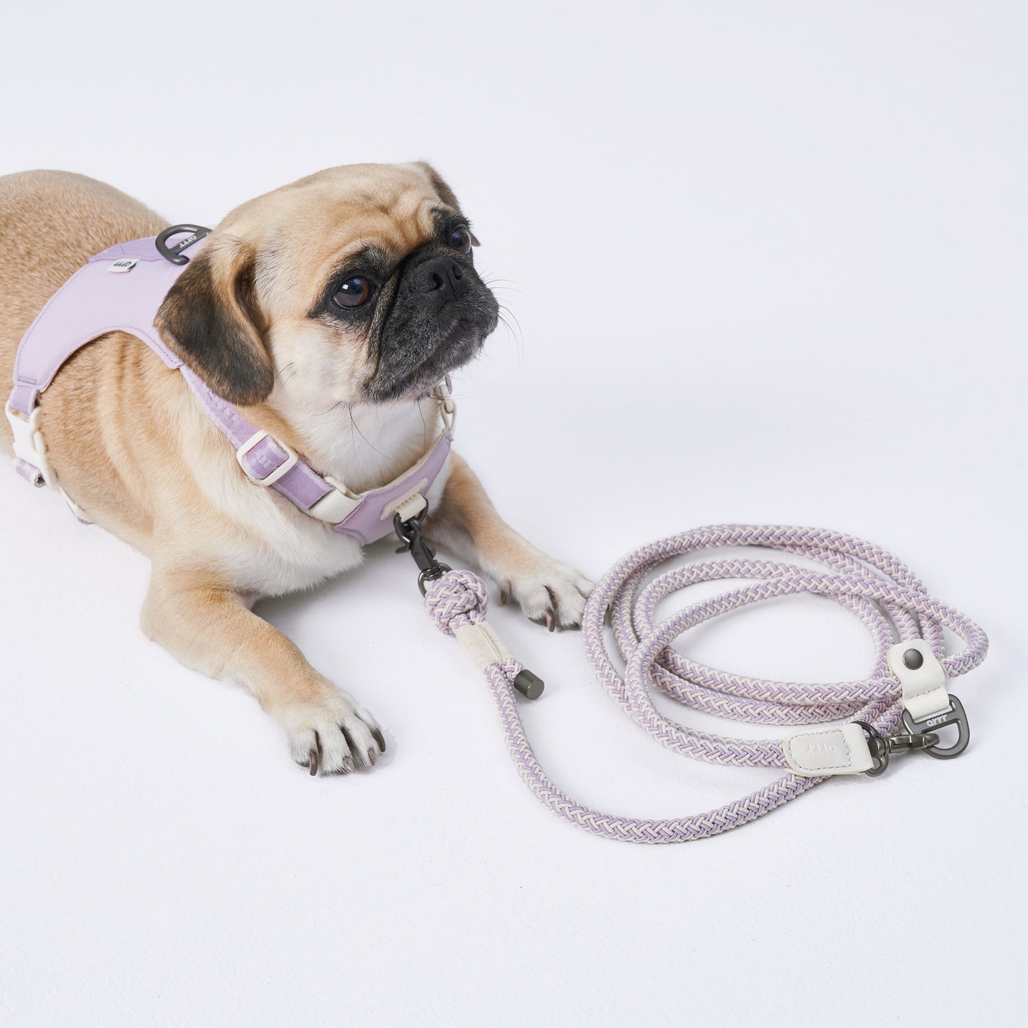 蹦跳牽繩 Bouncing Rope Leash
