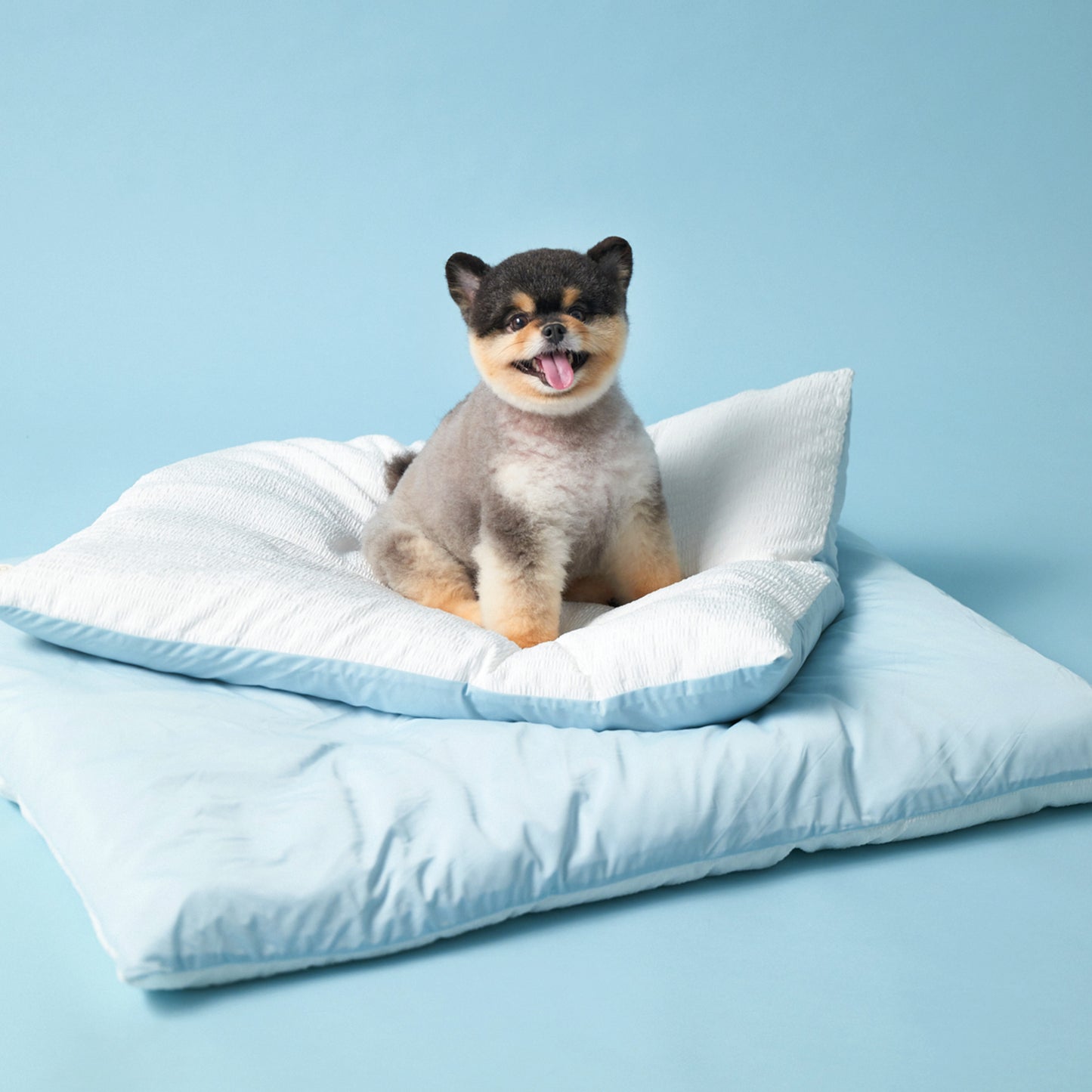 寵物涼感被墊 Sleeping blanket modal ver.
