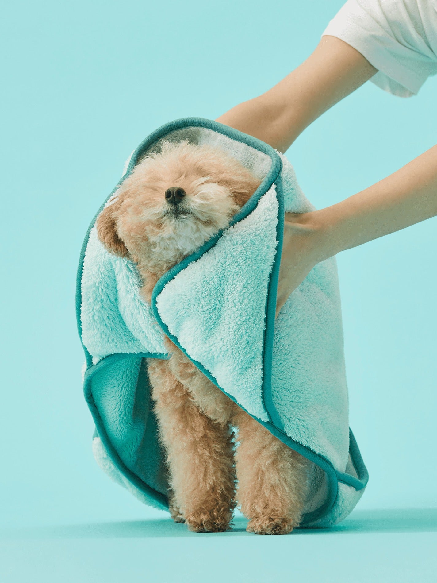 寵物軟綿綿毛巾 Fluffy Pet Towel