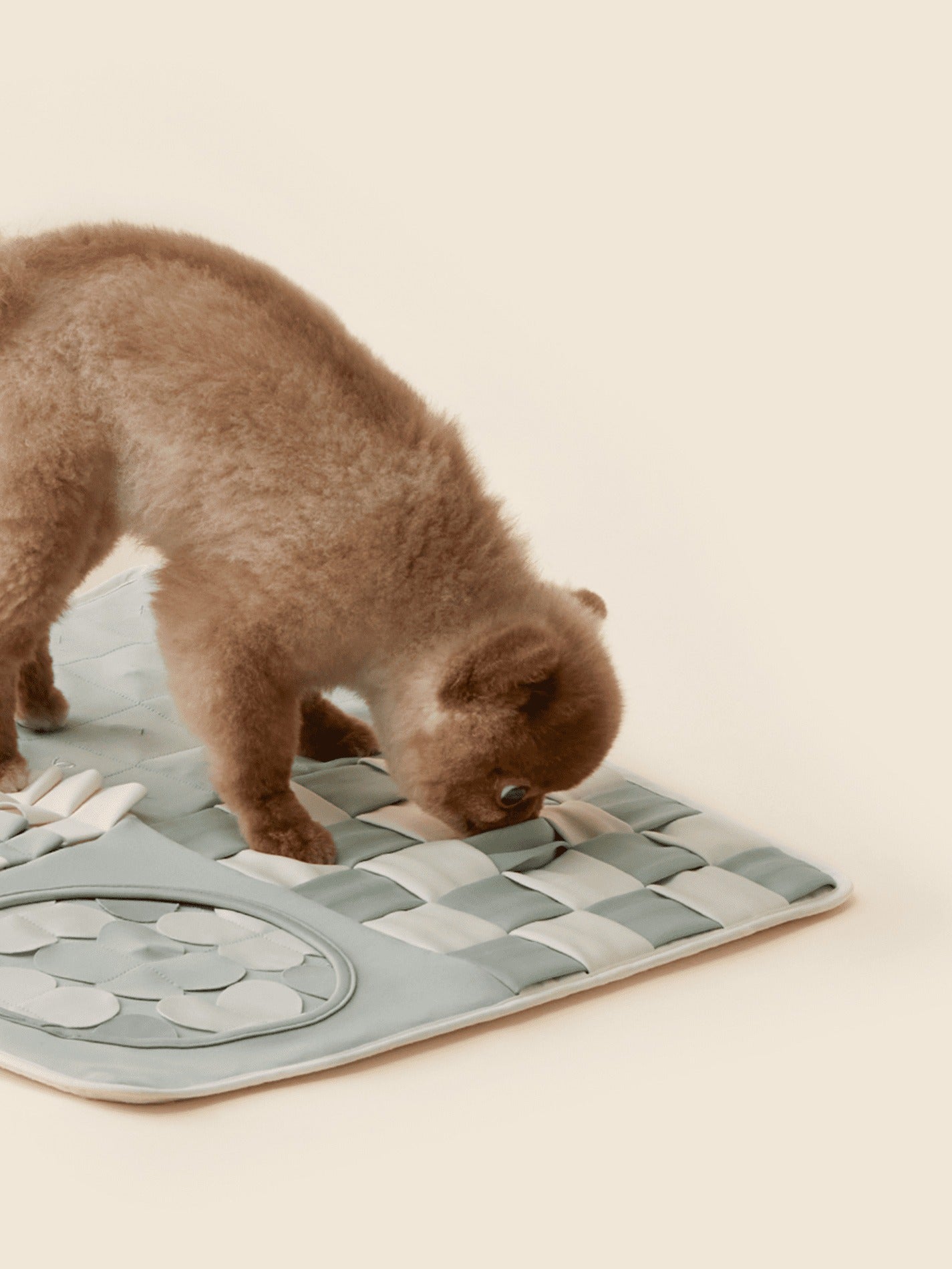 花園嗅覺玩具墊 Nosework Mat