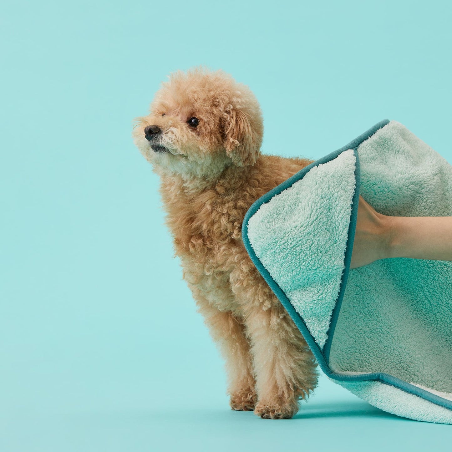 寵物軟綿綿毛巾 Fluffy Pet Towel