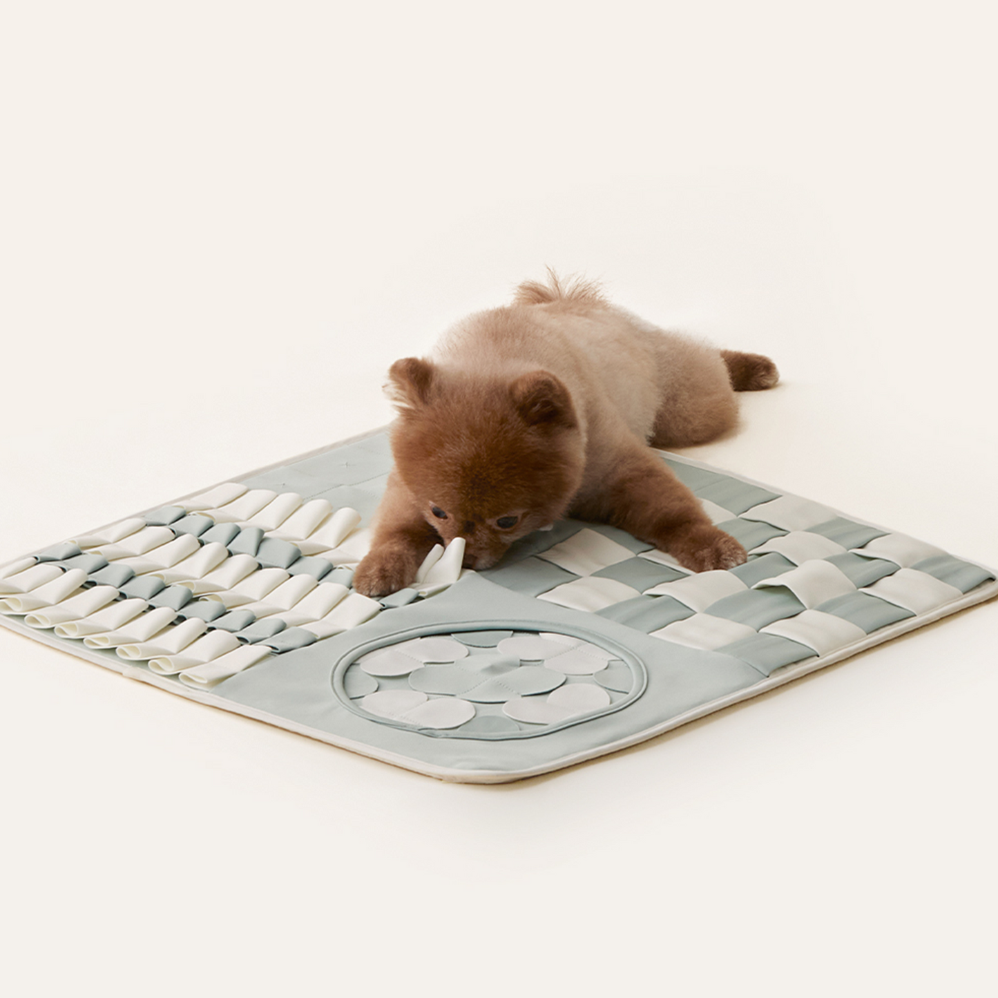 花園嗅覺玩具墊 Nosework Mat