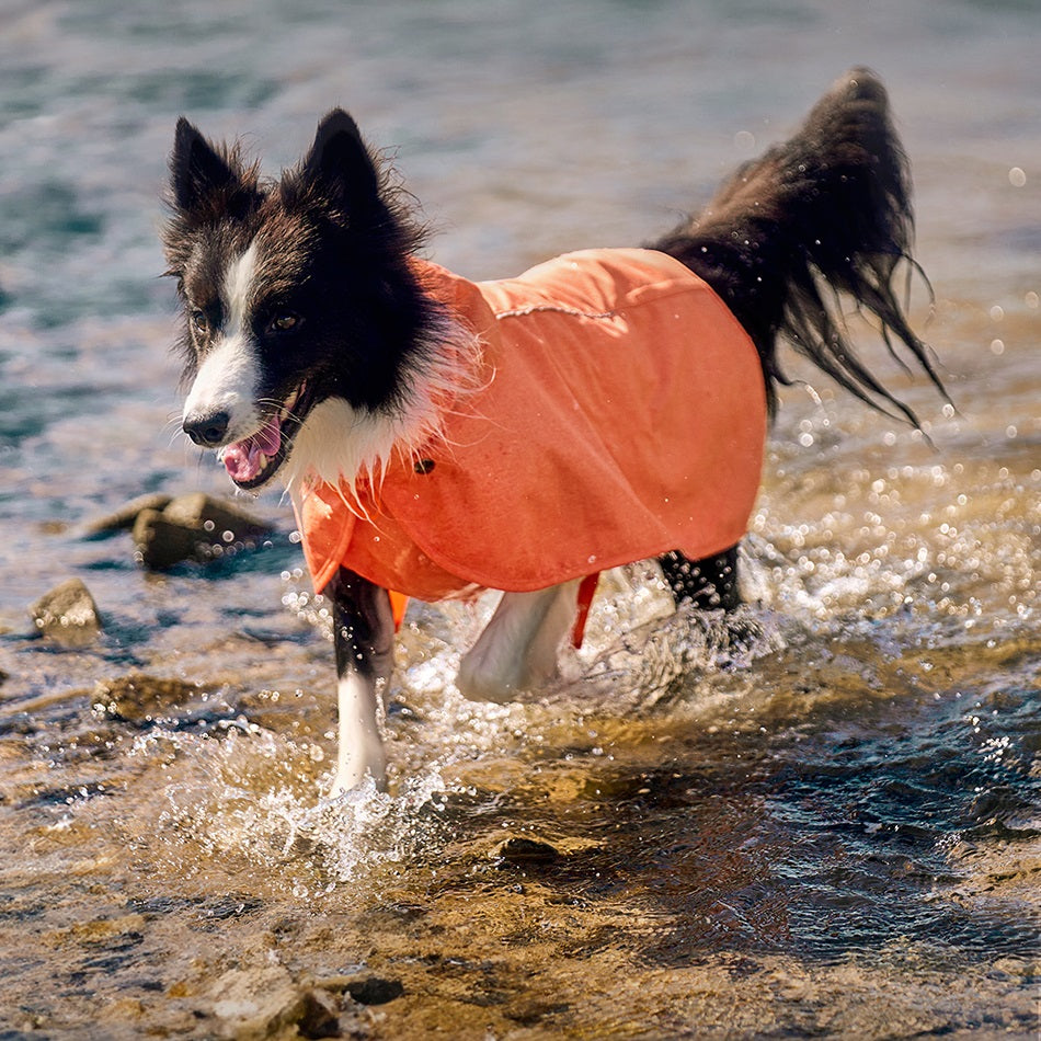 四季蹦跳外套 Outdoor Water-Resist Coat