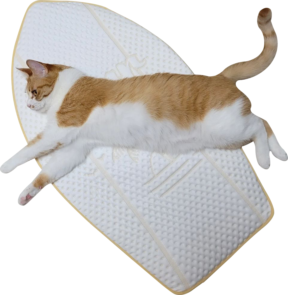 Coolsum surfing mat|寵物勁涼衝浪墊