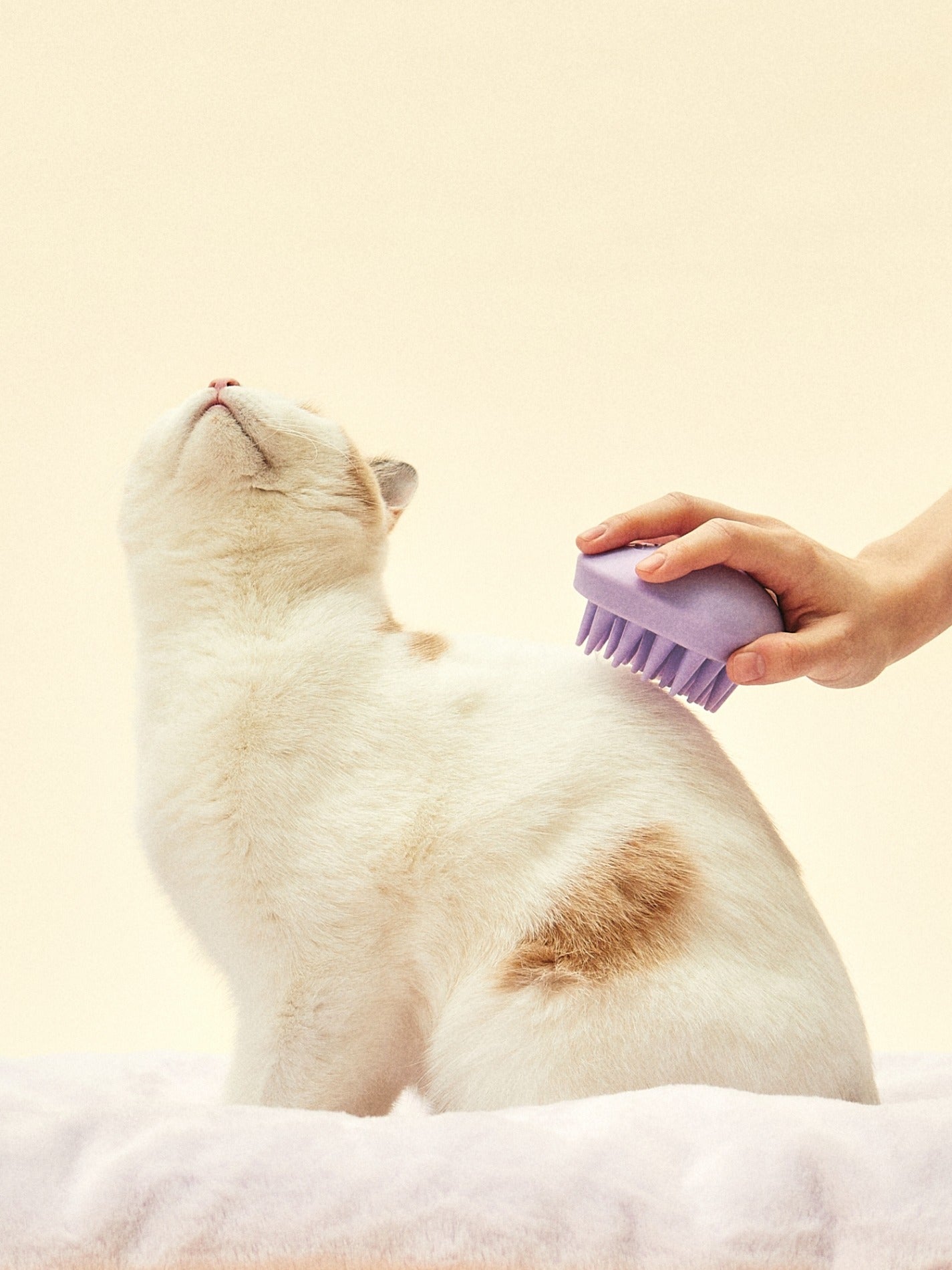 乖乖按摩梳 Grooming Brush