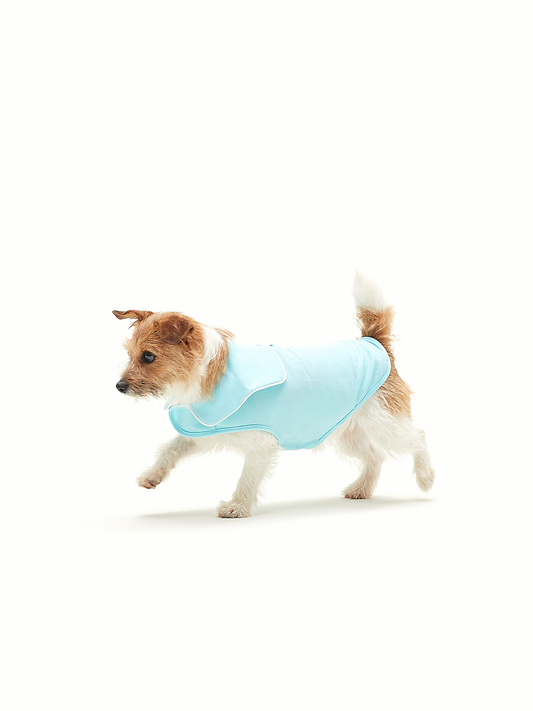 寵物涼感背心 Cool Vest