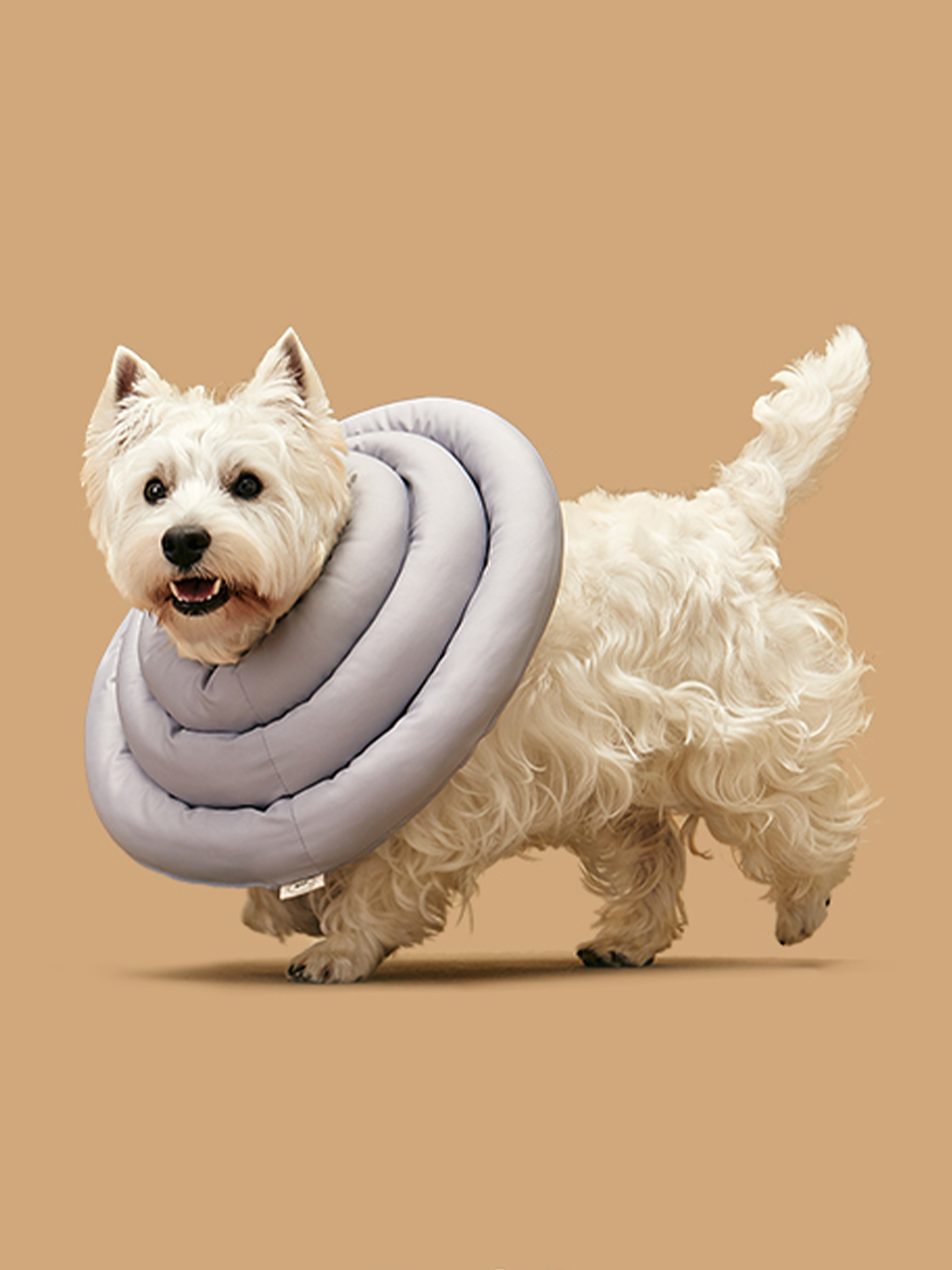 防舔咬頸圈 UFO Neck Collar