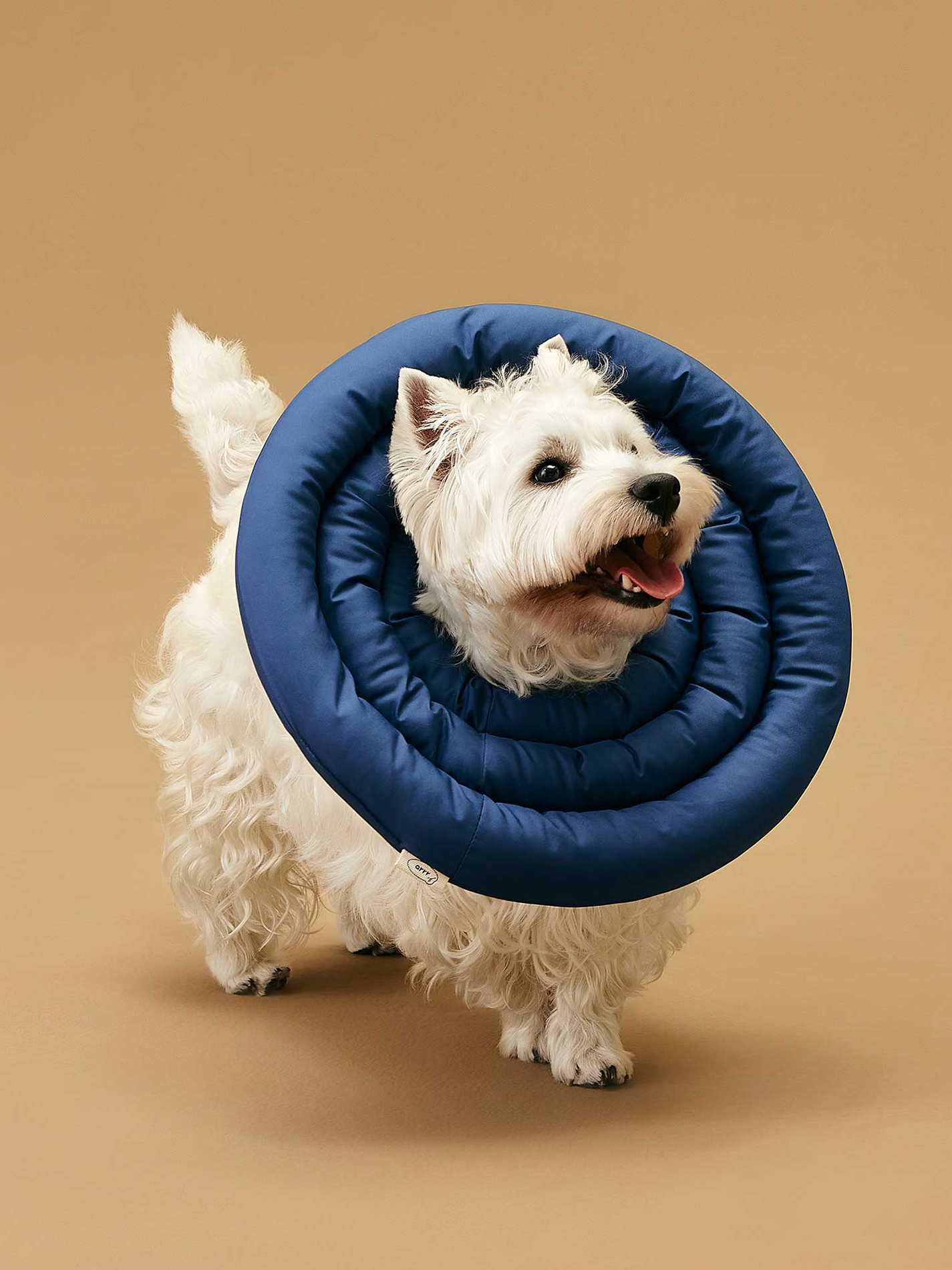 防舔咬頸圈 UFO Neck Collar