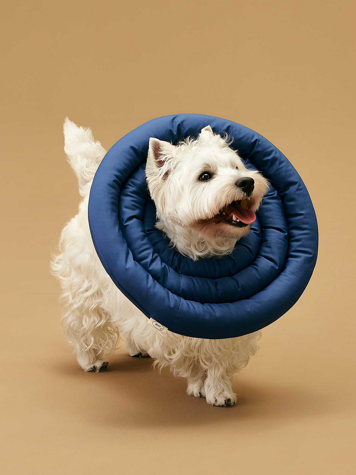 UFO Neck Collar | 防舔咬頸圈