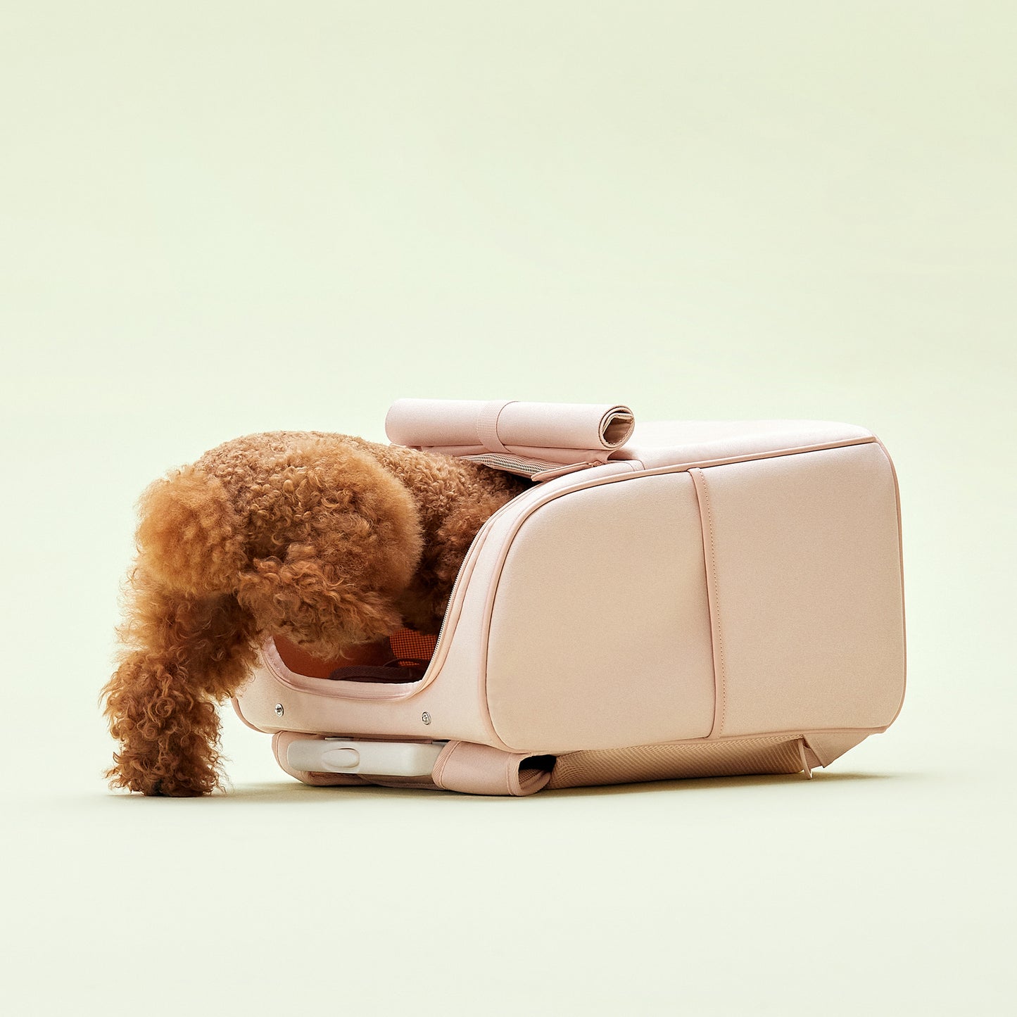 馬卡龍寵物外出包 Humming Going Bag