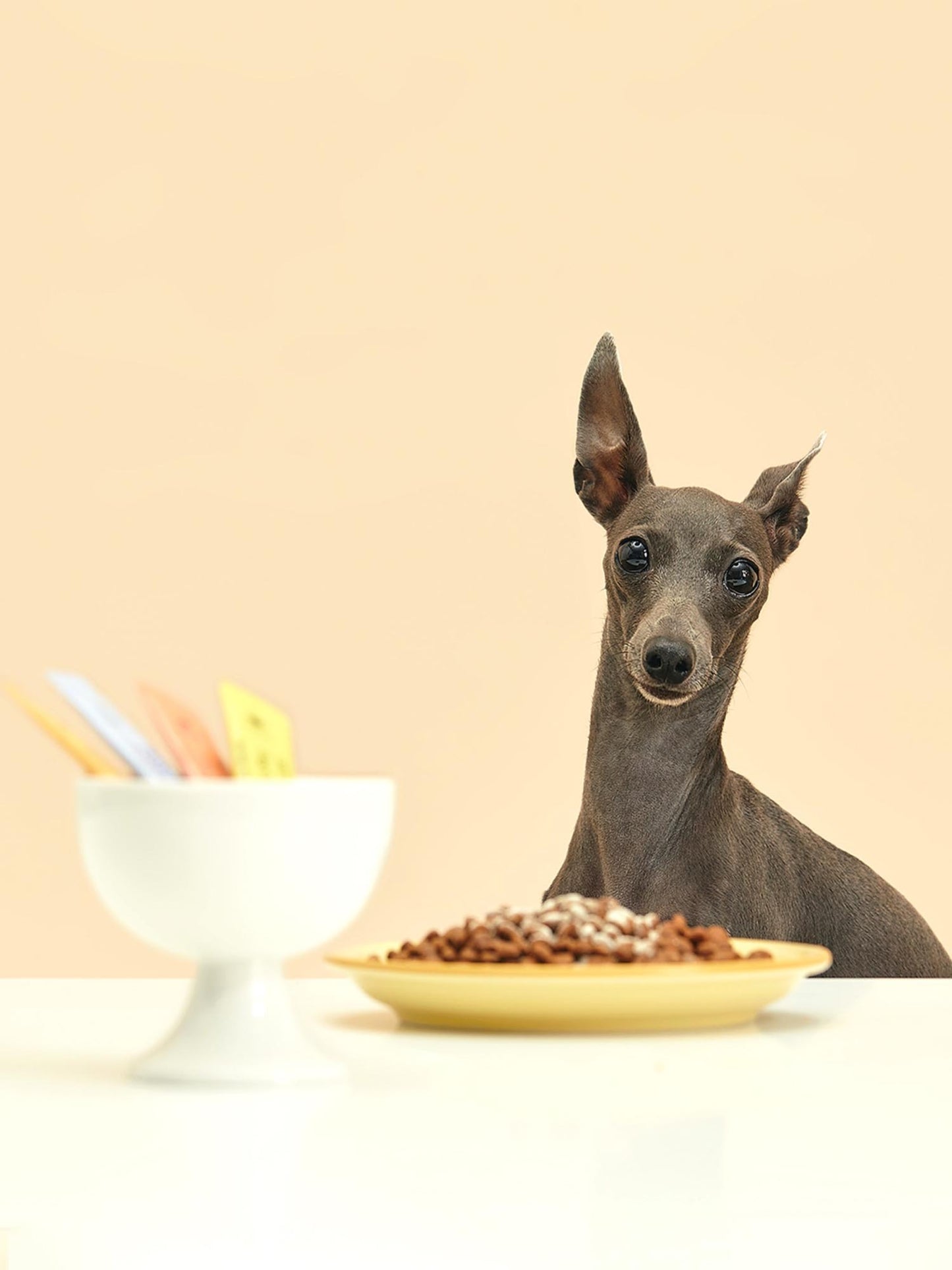 犬用營養補充劑 Dog Cheer