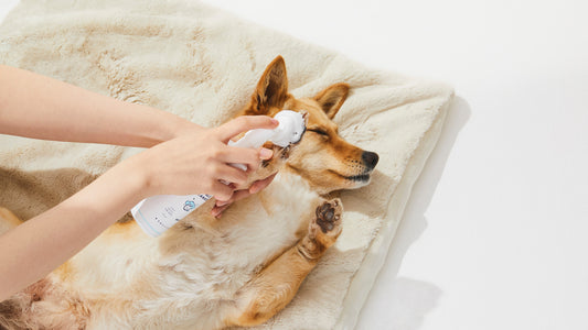 【冬季限定擁抱】氣溫 12 度，我們不洗澡，只談戀愛