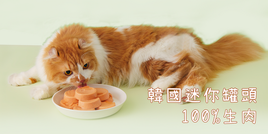 貓咪們最愛「又滑又美味的」韓國全新迷你罐頭登場🐱