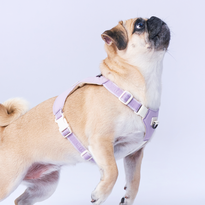 Bouncing Harness｜蹦跳胸背帶