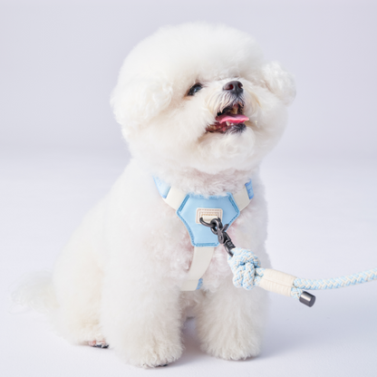 Bouncing Harness｜蹦跳胸背帶