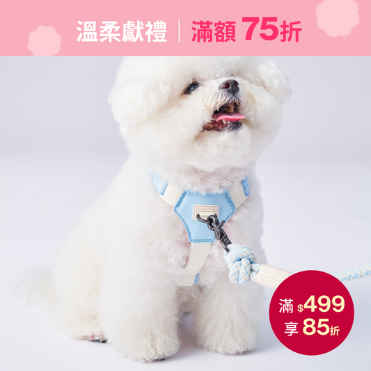 Bouncing Harness | 蹦跳胸背帶