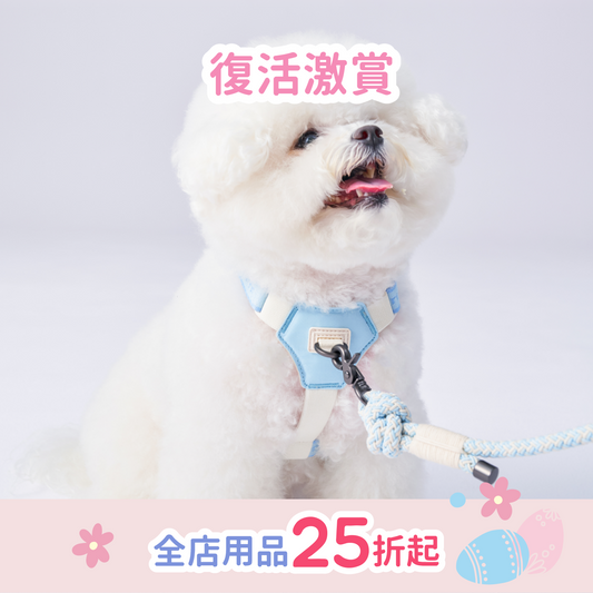 Bouncing Harness | 蹦跳胸背帶