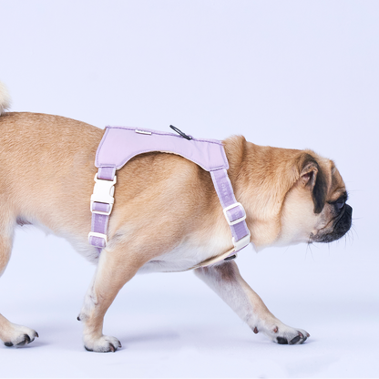 Bouncing Harness｜蹦跳胸背帶