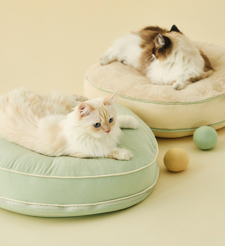 Macaron Cat Toy Ball｜馬卡龍寶貝球