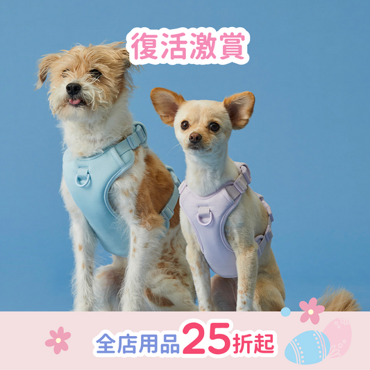 Humming Myfit Harness V2 | 馬卡龍胸背帶 V2
