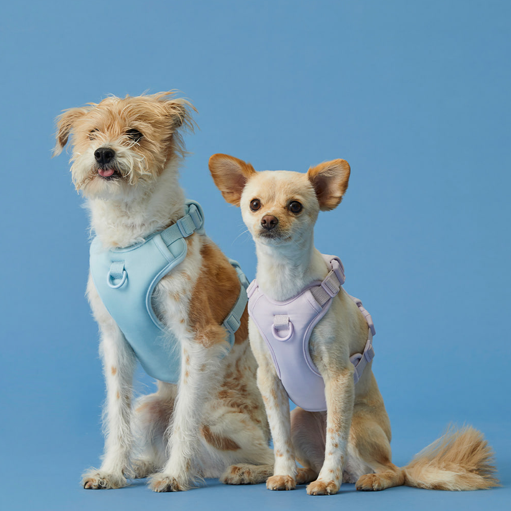 Humming myfit harness V2｜馬卡龍胸背帶 V2