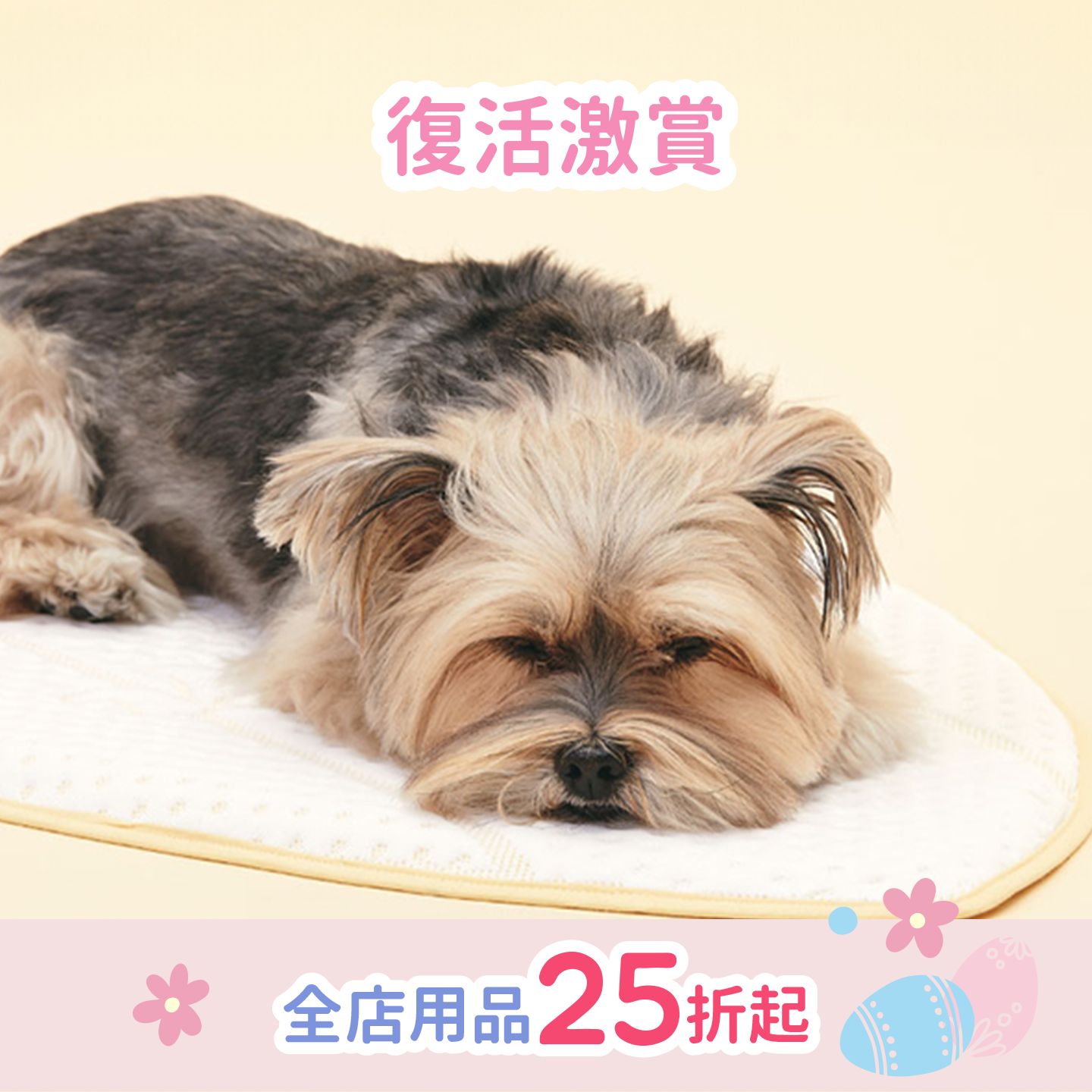 Coolsum surfing mat | 寵物勁涼衝浪墊