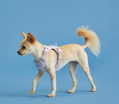 Humming myfit harness V2｜馬卡龍胸背帶 V2