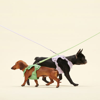 Humming Myfit Harness｜馬卡龍胸背帶