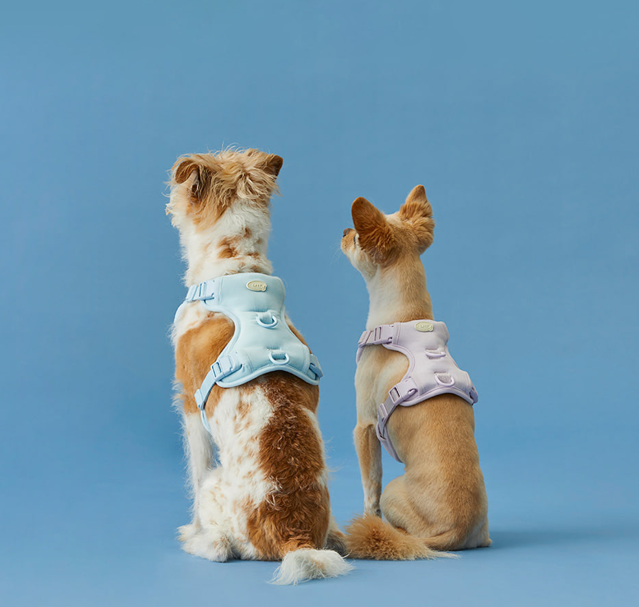 Humming myfit harness V2｜馬卡龍胸背帶 V2