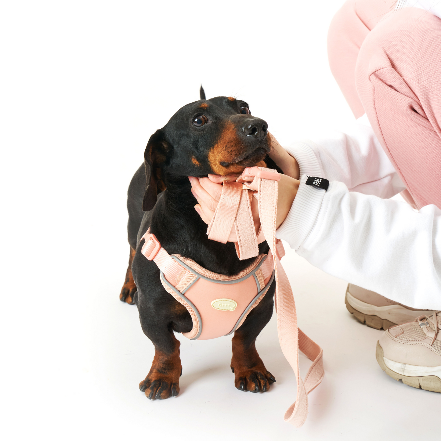 Myfit Harness | 緩緩安全胸背帶