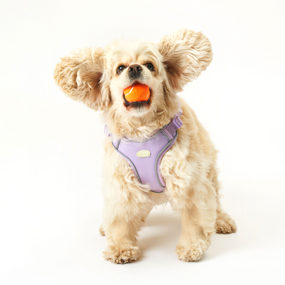 Myfit Harness | 緩緩安全胸背帶