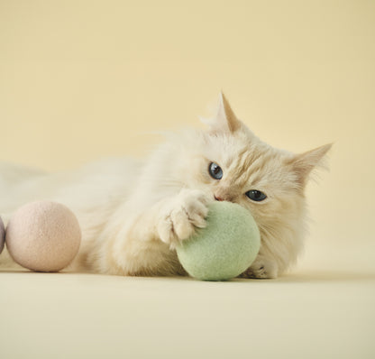 Macaron Cat Toy Ball｜馬卡龍寶貝球