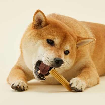 Dental Chica Chew | 營養刷刷潔牙棒