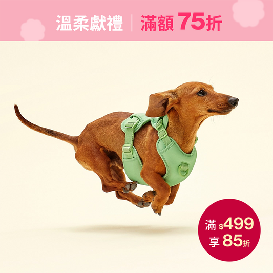 Humming Myfit Harness | 馬卡龍胸背帶