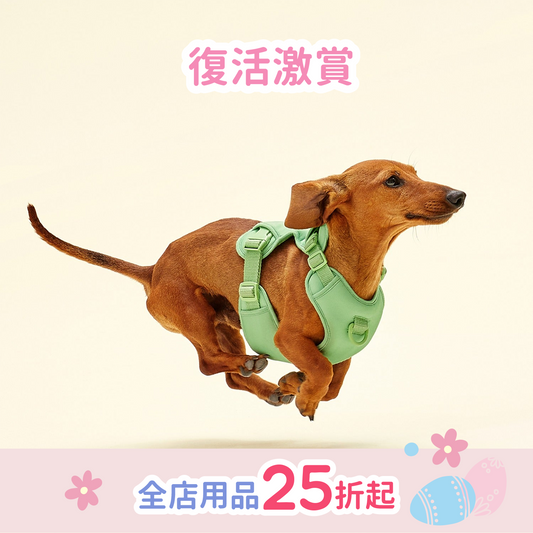 Humming Myfit Harness | 馬卡龍胸背帶