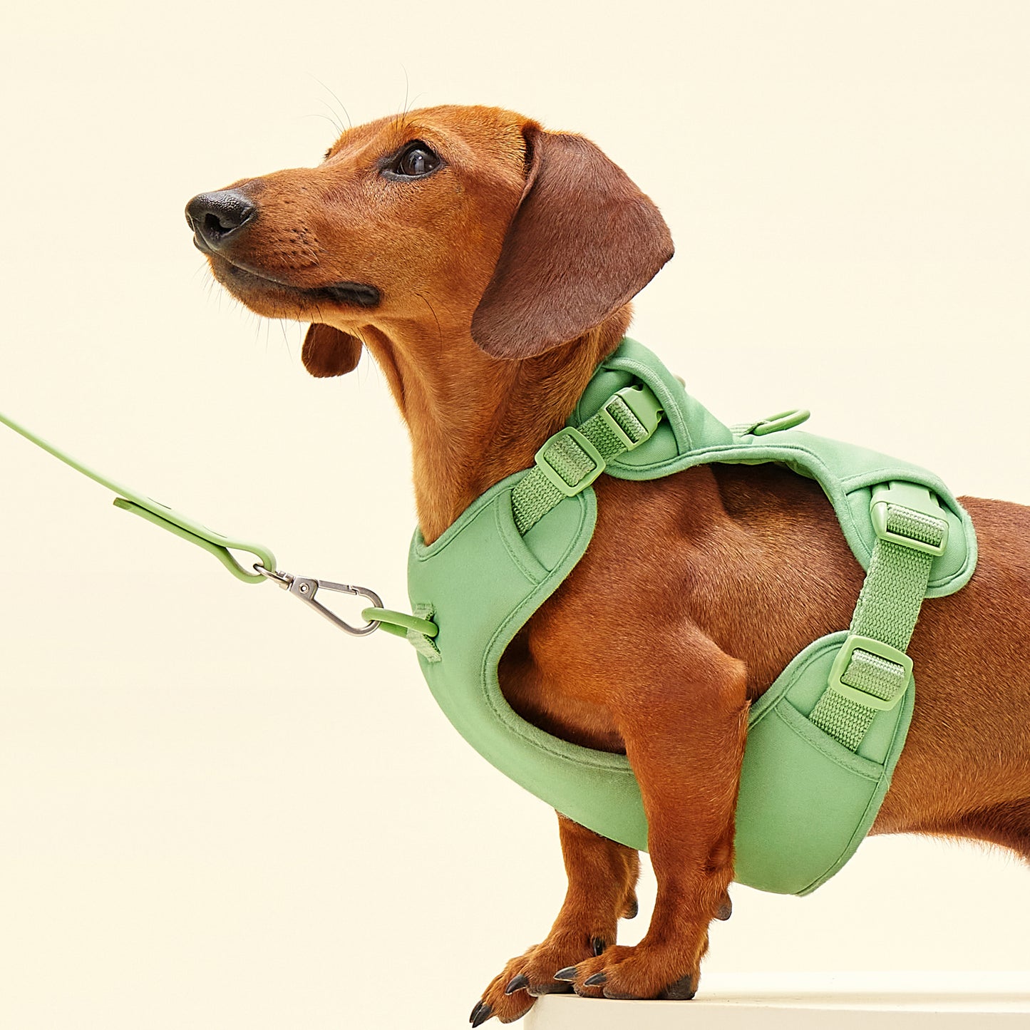 Humming Myfit Harness｜馬卡龍胸背帶