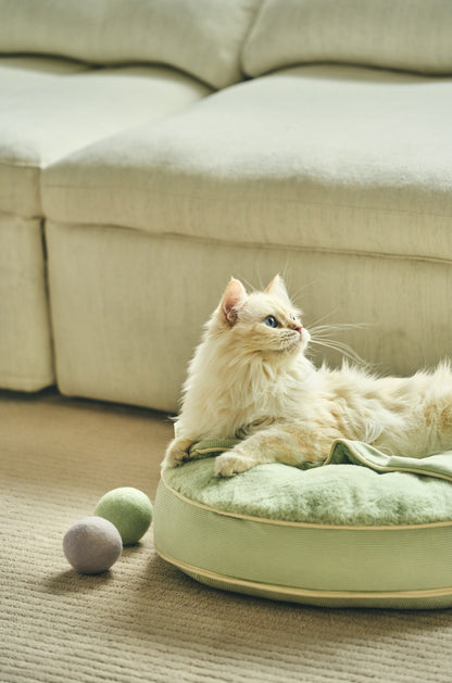 Macaron Cat Toy Ball｜馬卡龍寶貝球