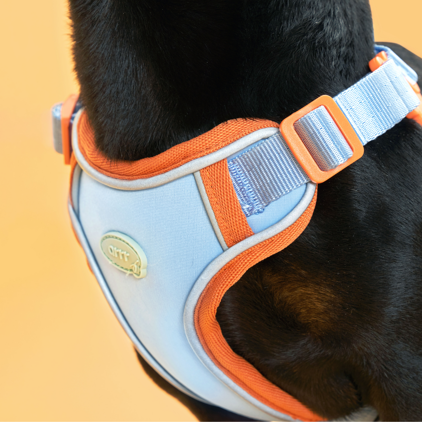 Myfit Harness | 緩緩安全胸背帶