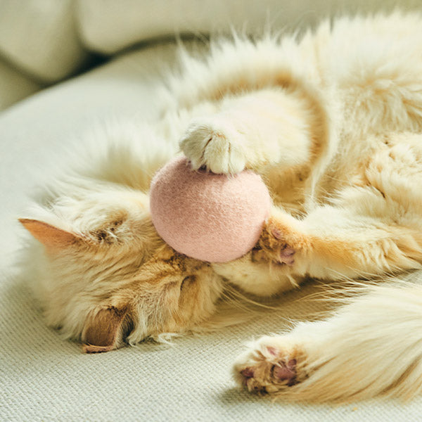 馬卡龍寶貝球 Macaron Cat Toy Ball
