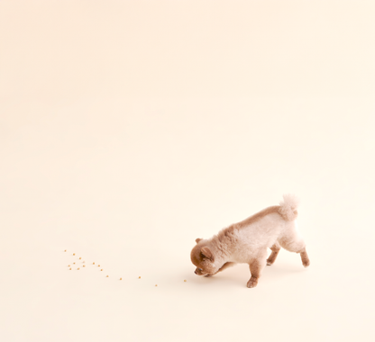 Mini Toy Treat | 寵物玩具咀嚼片