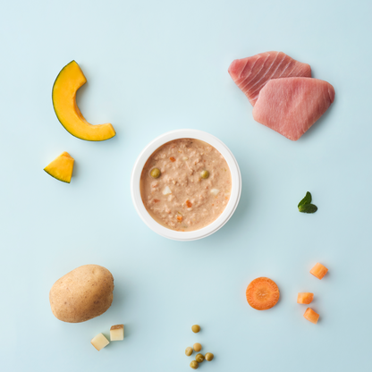 Nutri-stew Dog｜汪汪元氣燉餐盒