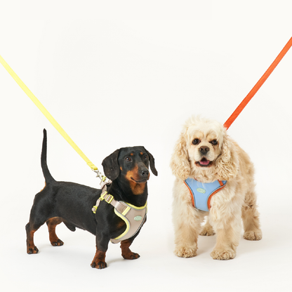 緩緩安全胸背帶/牽繩 Myfit Harness/Leash